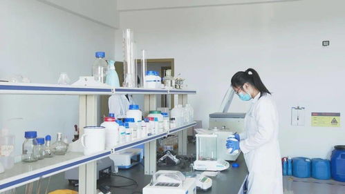 產學研深度融合再譜新篇 省級研究院落地泉港，驅動區域技術升級
